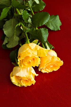 three yellow roses on red tableの写真素材