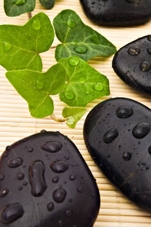 closeup of spa stones and ivy with water-drops on bamboo boardの写真素材
