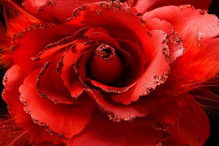 close-up of red fabric rose with feathers and glitterの写真素材