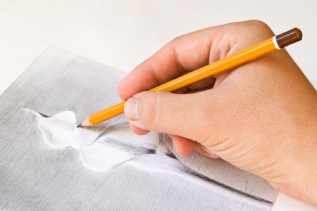 drawing a calla lily flower with pencil in handの写真素材