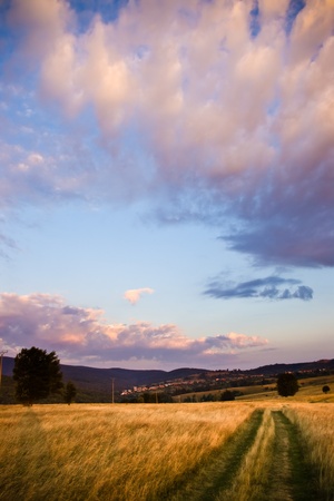 beautiful summer morning in rural environmentの写真素材