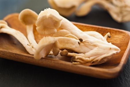 closeup of oyster mushrooms in wood trayの写真素材