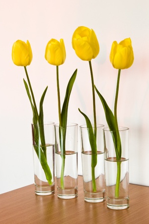 four yellow tulips in small vasesの写真素材