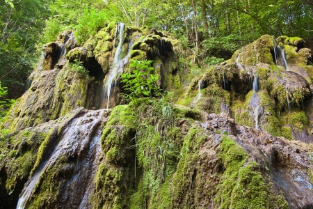 big waterfall in green wood and mossy mudの写真素材