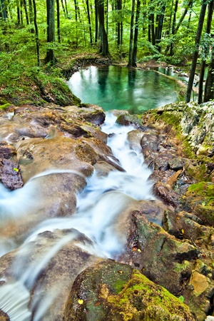 little waterfall and pond in the woods from aboveの写真素材