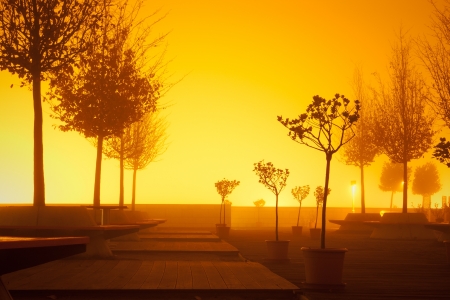 terrace with trees in fog in orange lightの写真素材