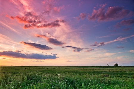 beautiful sunset and green fieldの写真素材
