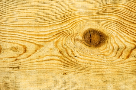 wood board texture with knotの写真素材