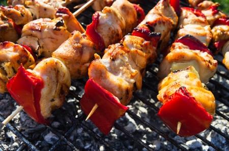 meat skewers with vegetables on charcoal grillの写真素材