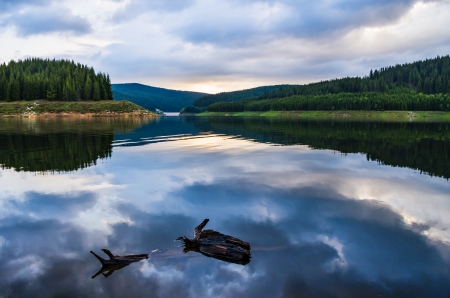 clouds and forest reflection on lakeの写真素材
