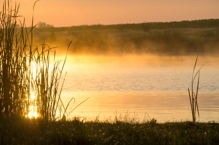 fog over lake in beautiful golden morning lightの写真素材