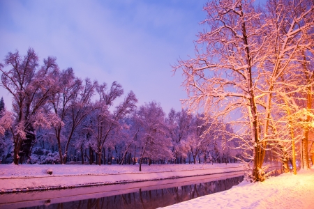 winter trees with snow in park near river after sunsetの写真素材
