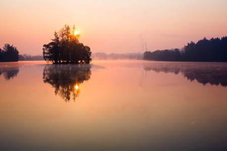 Trees on lake early at sunriseの写真素材