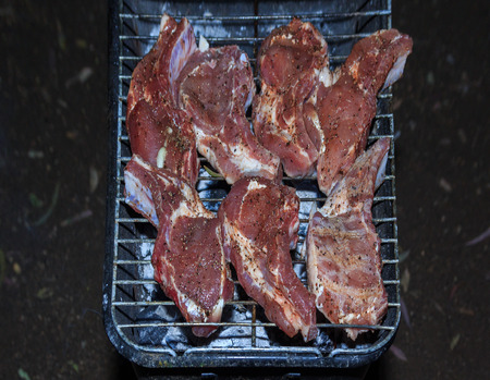 BBQ at the picnicの写真素材