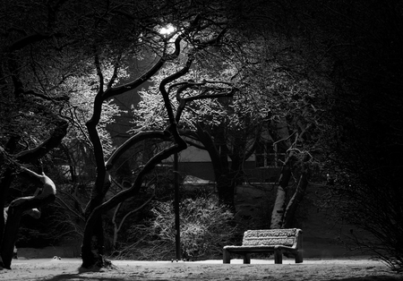 Single bench in the park winter time under the lantern black and whiteの写真素材
