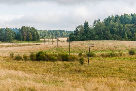 Autumn landscape in Karelia with a field with electric polesの写真素材