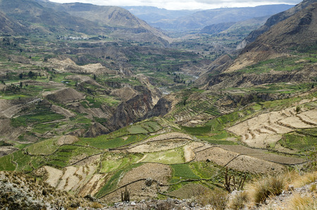 View of Canyon de Colca, Peruの写真素材