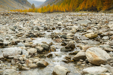 Mountain creek with autumn colorsの写真素材