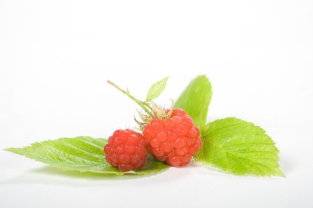 Delicious raspberries on green leaves, isolated on white.