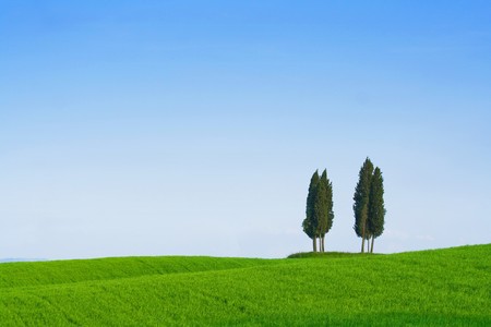 Typical Tuscany (Val d' Orcia) landscape with blue sky, rolled hills and four cypress.の写真素材