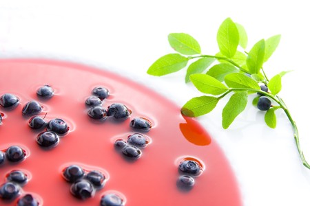 Blueberries on plate with decoration - blueberry soup.の写真素材