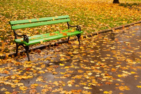 Empty bench in park with many orange autumn maple leaves around and on it.の写真素材