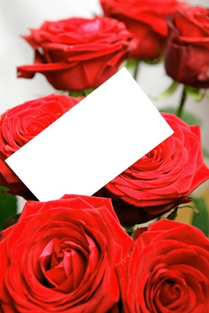 Valentine's day rose with copy space card.の写真素材