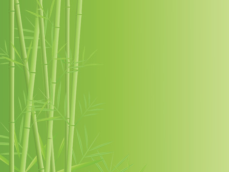 bamboo backgroundのイラスト素材