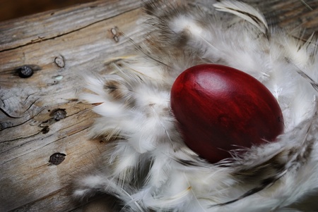 Red Easter egg in feather nest