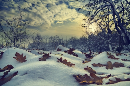 Winter landscape in vintage styleの写真素材