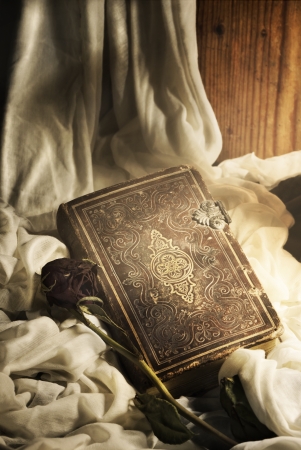 Still life. Old book and rose.の写真素材