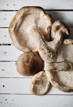 Shitake on rustic wooden tableの写真素材