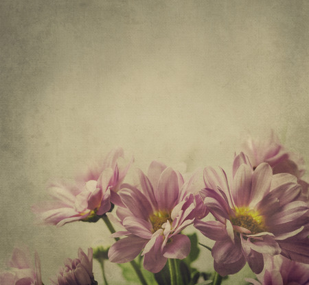 Beautiful pink flower on textured backgroundの写真素材