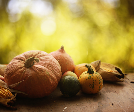 Autumn concept. Seasonal vegetables on wooden table.の写真素材