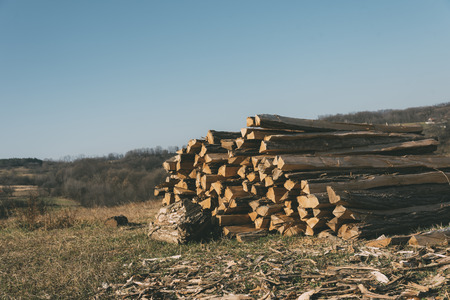 Stack of wooden logsの写真素材