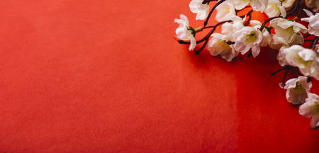 Spring cherry  blossom border over red paper  with copyspace.の写真素材