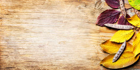 Top view of yellow autumn leaves frame on vintage wooden background. Fall season with brown beech leaf border on rustic table texture. September design banner.の写真素材