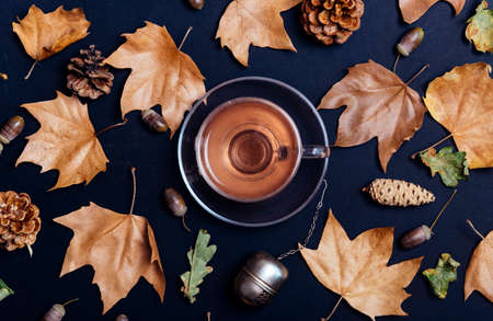 Cup of tea with autumn leaves, acorn and cones on dark background from above. Maple leaf texture on black paper. Seasonal composition pattern design with cozy drink. Flat lay.の写真素材