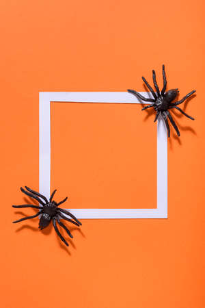 Empty white frame with scary black spider on orange paper. Halloween background layout. Minimal flat lay design.の写真素材
