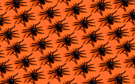 Halloween background pattern. Scary black spider on orange paper. Minimal pop art design for halloween party concept.の写真素材