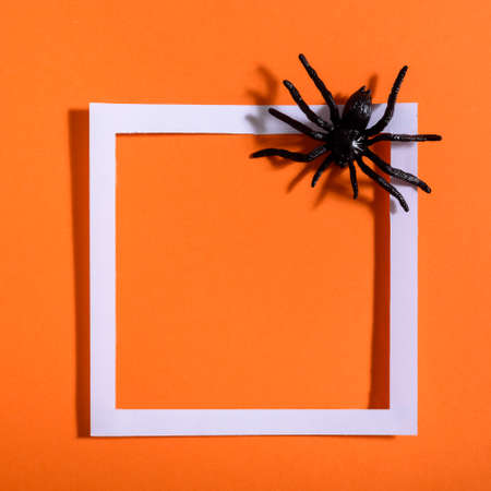 Empty white frame with scary black spider on orange paper. Halloween background layout. Minimal flat lay design.の写真素材