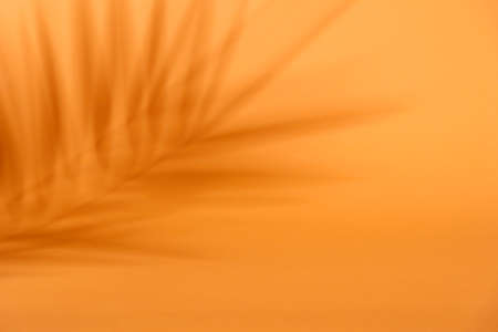 Tropical shadow on orange background. Tropic palm leaf overlay on thanksgiving and halloween backdrop. Product display. Natural silhouette on wall. Flat lay.の写真素材