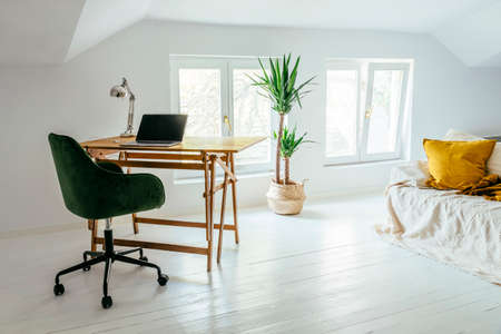 Minimalist interior design of studio apartment in Scandinavian style. White living room in loft with modern luxury furniture. Cozy sofa couch, retro working desk and plant in contemporary home.の写真素材