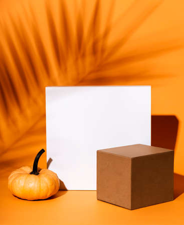 Abstract background composition with geometric shapes and thanksgiving pumpkin decor. Product stage display still life for halloween concept. Minimal design with tropic palm shadow and cubes.の写真素材