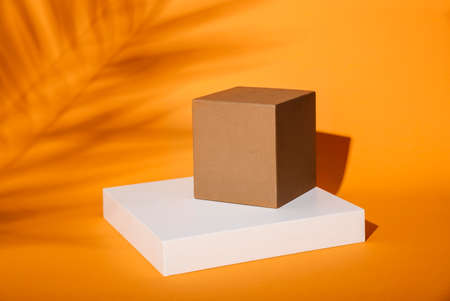 Product stage box on orange background with tropical palm tree shadow. Minimal thanksgiving sceneの写真素材