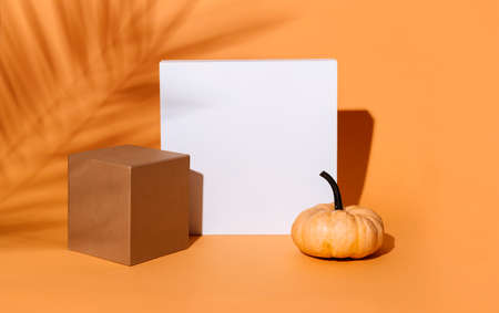 Abstract background composition with geometric shapes and thanksgiving pumpkin decor. Product stage display still life for halloween concept. Minimal design with tropic palm shadow and cubes.の写真素材