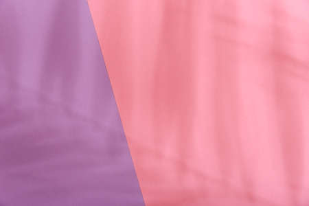Violet and pink color background with tropical palm shadow. Two trend pastel paper and exotic plant shade layout. Minimal flat lay with leaf silhouette overlay.の写真素材