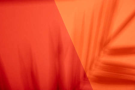 Red and orange color background with tropical palm shadow. Two trend pastel paper and exotic plant shade layout. Minimal summer flat lay with leaf silhouette overlay.の写真素材