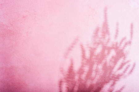 Pink concrete wall with plant shadow overlay. Tropical pastel background with lavender shade. Flat lay. Minimal sunlight wallpaper with floral silhouette.の写真素材
