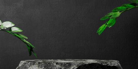 Black background with stone granite podium and tropical leaf. Product pedestal display mockup. Natural aesthetic luxury interior room.の写真素材